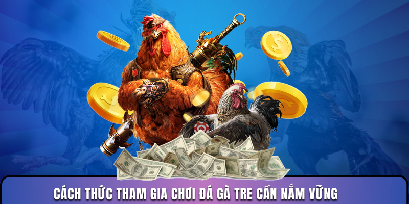 Cách thức tham gia chơi đá gà tre cần nắm vững