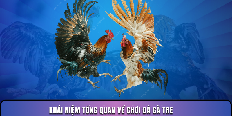 Khái niệm tổng quan về chơi đá gà tre